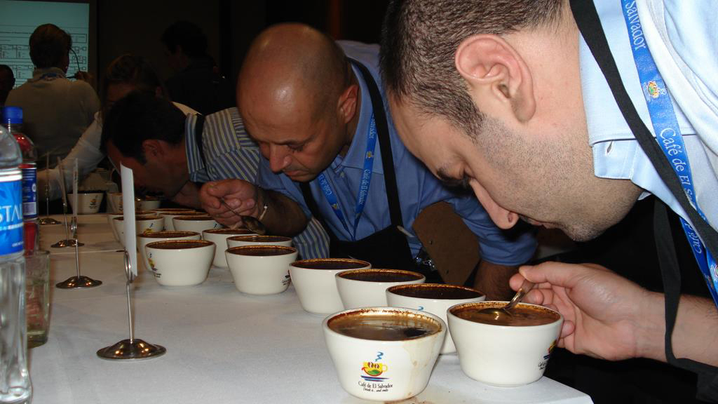Programa de Apoyo a pequeños productores de café. Red Italo-Latinoamericana de Excelencia, MAECI/IILA/IAO.